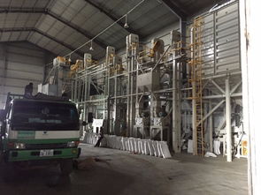 柬埔寨大米加工廠 優質稻米產業鏈與食品經營商機解析